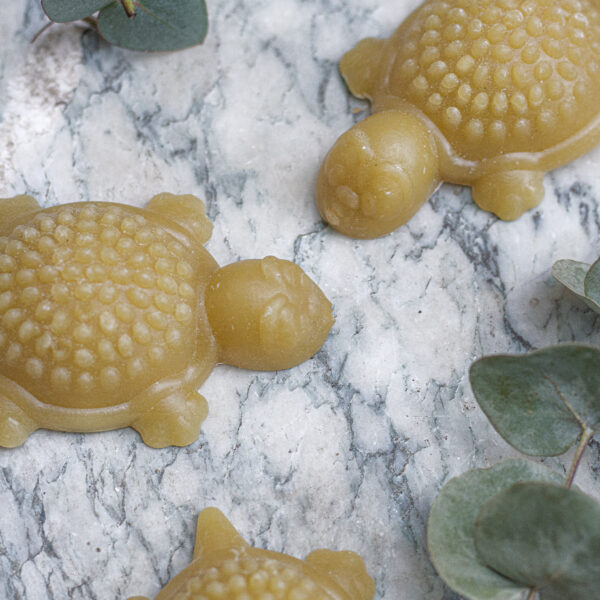 Friandises en forme de Tortue 3 pièces Nature