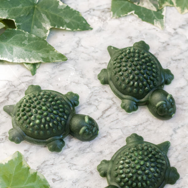 Friandises en forme de Tortue 3 pièces Vert