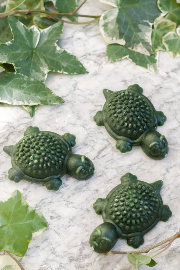 Friandises en forme de Tortue 3 pièces Vert