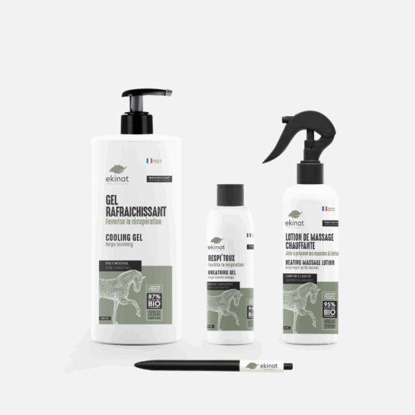 Boost Performance Ekinat